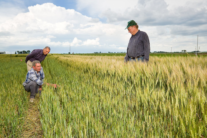 Farmers in a field.